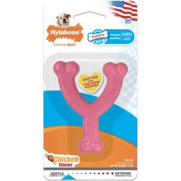 NYL TOY CHW WSHBN PUP PK